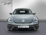 VW Beetle bei Reisemobile.expert - Abbildung (2 / 15)