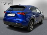 Lexus NX bei Reisemobile.expert - Abbildung (5 / 15)