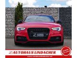 Audi A5 bei Reisemobile.expert - Abbildung (3 / 15)