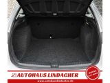 Seat Ibiza bei Reisemobile.expert - Abbildung (10 / 15)