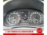 Skoda Fabia bei Reisemobile.expert - Abbildung (10 / 15)