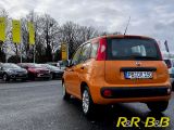 Fiat Panda bei Reisemobile.expert - Abbildung (5 / 15)