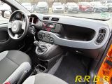 Fiat Panda bei Reisemobile.expert - Abbildung (8 / 15)