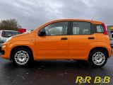 Fiat Panda bei Reisemobile.expert - Abbildung (3 / 15)