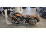 Harley-Davidson Softail bei Reisemobile.expert - Abbildung (3 / 15) Harley-Davidson Softail bei Reisemobile.expert - Abbildung (3 / 15)