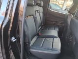 Ford Ranger bei Reisemobile.expert - Abbildung (13 / 15) Ford Ranger bei Reisemobile.expert - Abbildung (13 / 15)