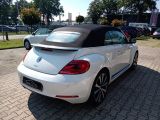 VW Beetle bei Reisemobile.expert - Abbildung (11 / 15) VW Beetle bei Reisemobile.expert - Abbildung (11 / 15)