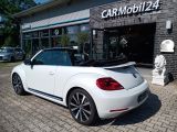 VW Beetle bei Reisemobile.expert - Abbildung (6 / 15) VW Beetle bei Reisemobile.expert - Abbildung (6 / 15)