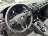 Skoda Superb bei Reisemobile.expert - Abbildung (7 / 10)