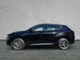 Alfa Romeo Tonale bei Reisemobile.expert - Abbildung (2 / 11)