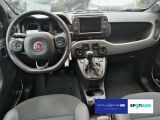 Fiat Panda bei Reisemobile.expert - Abbildung (8 / 15)