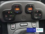 Fiat Panda bei Reisemobile.expert - Abbildung (14 / 15)