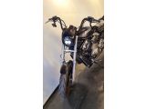 Harley-Davidson ROD bei Reisemobile.expert - Abbildung (5 / 9)