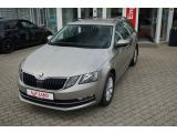 Skoda Octavia bei Reisemobile.expert - Abbildung (13 / 15)