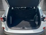 Ford Kuga bei Reisemobile.expert - Abbildung (9 / 13)