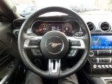 Ford Mustang bei Reisemobile.expert - Abbildung (10 / 10)