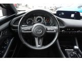 Mazda 3 bei Reisemobile.expert - Abbildung (13 / 15)