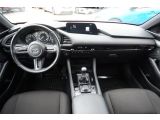 Mazda 3 bei Reisemobile.expert - Abbildung (12 / 15)