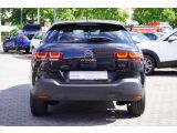 Citroen C4 Cactus bei Reisemobile.expert - Abbildung (5 / 15)