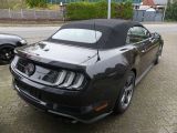 Ford Mustang bei Reisemobile.expert - Abbildung (5 / 15)