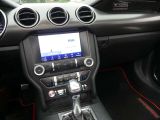 Ford Mustang bei Reisemobile.expert - Abbildung (13 / 15)