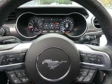 Ford Mustang bei Reisemobile.expert - Abbildung (11 / 15)