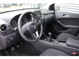 Mercedes-Benz B-Klasse bei Reisemobile.expert - Abbildung (5 / 15)