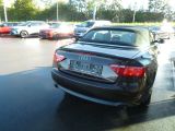 Audi A5 Cabriolet bei Reisemobile.expert - Abbildung (5 / 15)