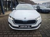 Skoda Octavia bei Reisemobile.expert - Abbildung (2 / 15) Skoda Octavia bei Reisemobile.expert - Abbildung (2 / 15)