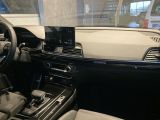 Audi SQ5 bei Reisemobile.expert - Abbildung (11 / 15)