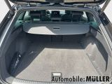 Cupra Leon bei Reisemobile.expert - Abbildung (10 / 15)