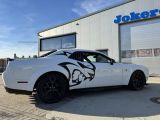 Dodge Challenger bei Reisemobile.expert - Abbildung (12 / 15)