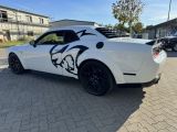 Dodge Challenger bei Reisemobile.expert - Abbildung (9 / 15)