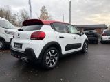 Citroen C3 bei Reisemobile.expert - Abbildung (6 / 15)