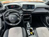 Peugeot 2008 bei Reisemobile.expert - Abbildung (13 / 15)