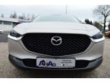 Mazda CX-30 bei Reisemobile.expert - Abbildung (3 / 15)