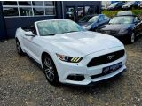 Ford Mustang bei Reisemobile.expert - Abbildung (4 / 15)