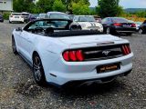 Ford Mustang bei Reisemobile.expert - Abbildung (7 / 15)