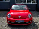 VW Beetle bei Reisemobile.expert - Abbildung (2 / 15)