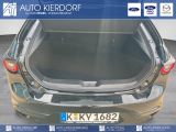 Mazda 3 bei Reisemobile.expert - Abbildung (5 / 9)