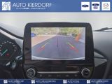 Ford Puma bei Reisemobile.expert - Abbildung (12 / 12)