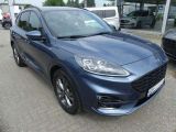 Ford Kuga bei Reisemobile.expert - Abbildung (2 / 15)