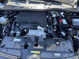Citroen C4 bei Reisemobile.expert - Abbildung (5 / 12)