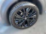Nissan Juke bei Reisemobile.expert - Abbildung (7 / 12)