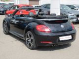 VW Beetle bei Reisemobile.expert - Abbildung (5 / 15)