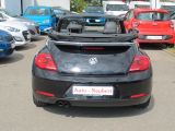 VW Beetle bei Reisemobile.expert - Abbildung (15 / 15)