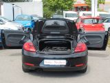 VW Beetle bei Reisemobile.expert - Abbildung (10 / 15)