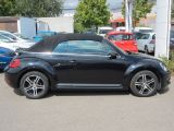 VW Beetle bei Reisemobile.expert - Abbildung (12 / 15)