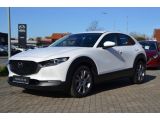 Mazda CX-30 bei Reisemobile.expert - Abbildung (3 / 15)