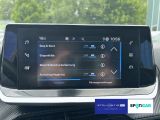 Peugeot 2008 bei Reisemobile.expert - Abbildung (13 / 15)
